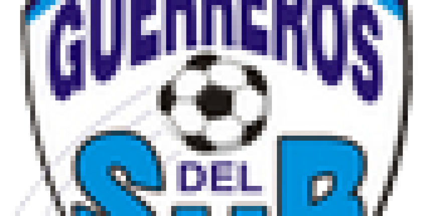 Logo-Guerreros-del-Sur-175